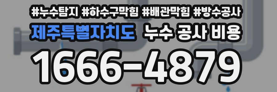 제주특별자치도 누수 공사 비용