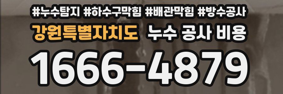 강원특별자치도 누수 공사 비용
