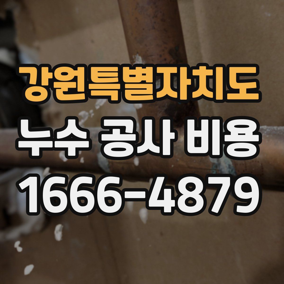 강원특별자치도 누수 공사 비용