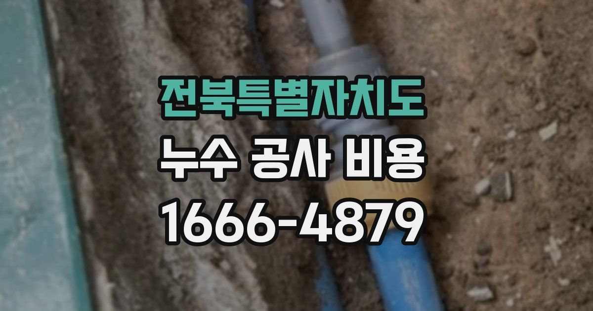 전북특별자치도 누수 공사 비용