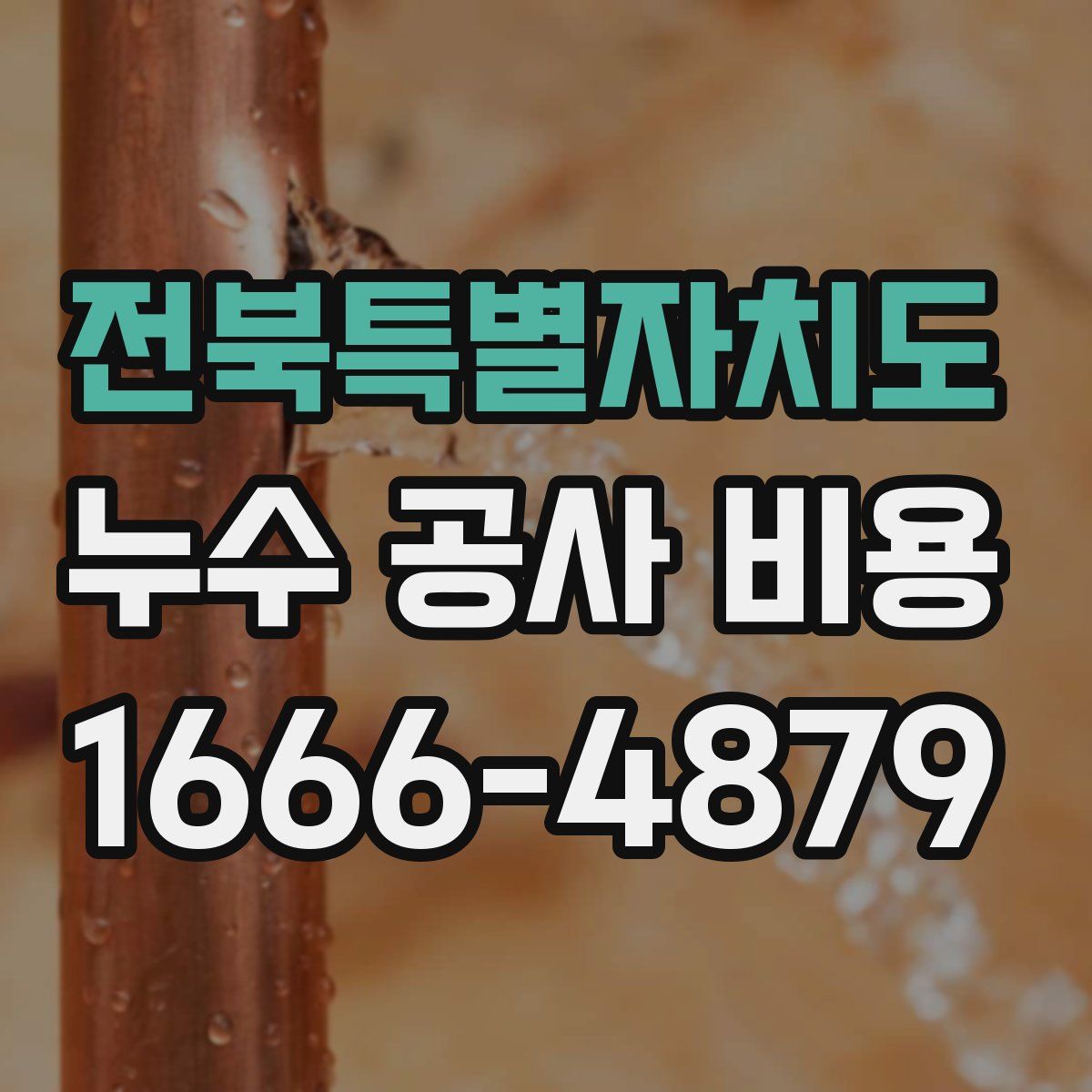 전북특별자치도 누수 공사 비용