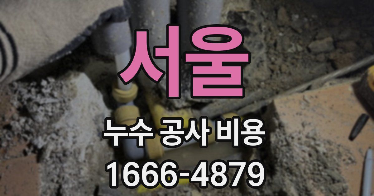 서울 누수 공사 비용