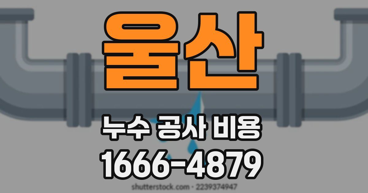 울산 누수 공사 비용