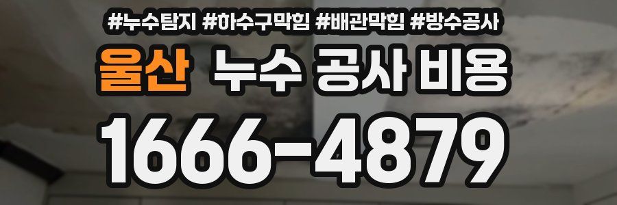울산 누수 공사 비용