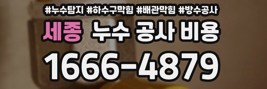 세종 누수 공사 비용