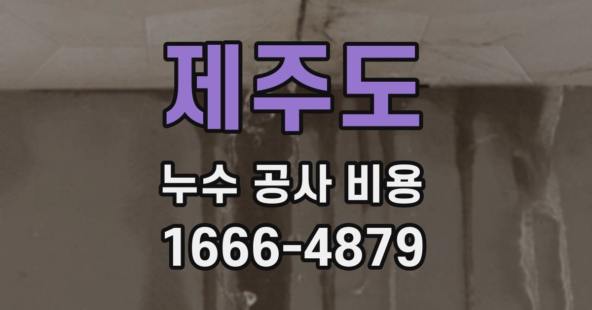 제주도 누수 공사 비용