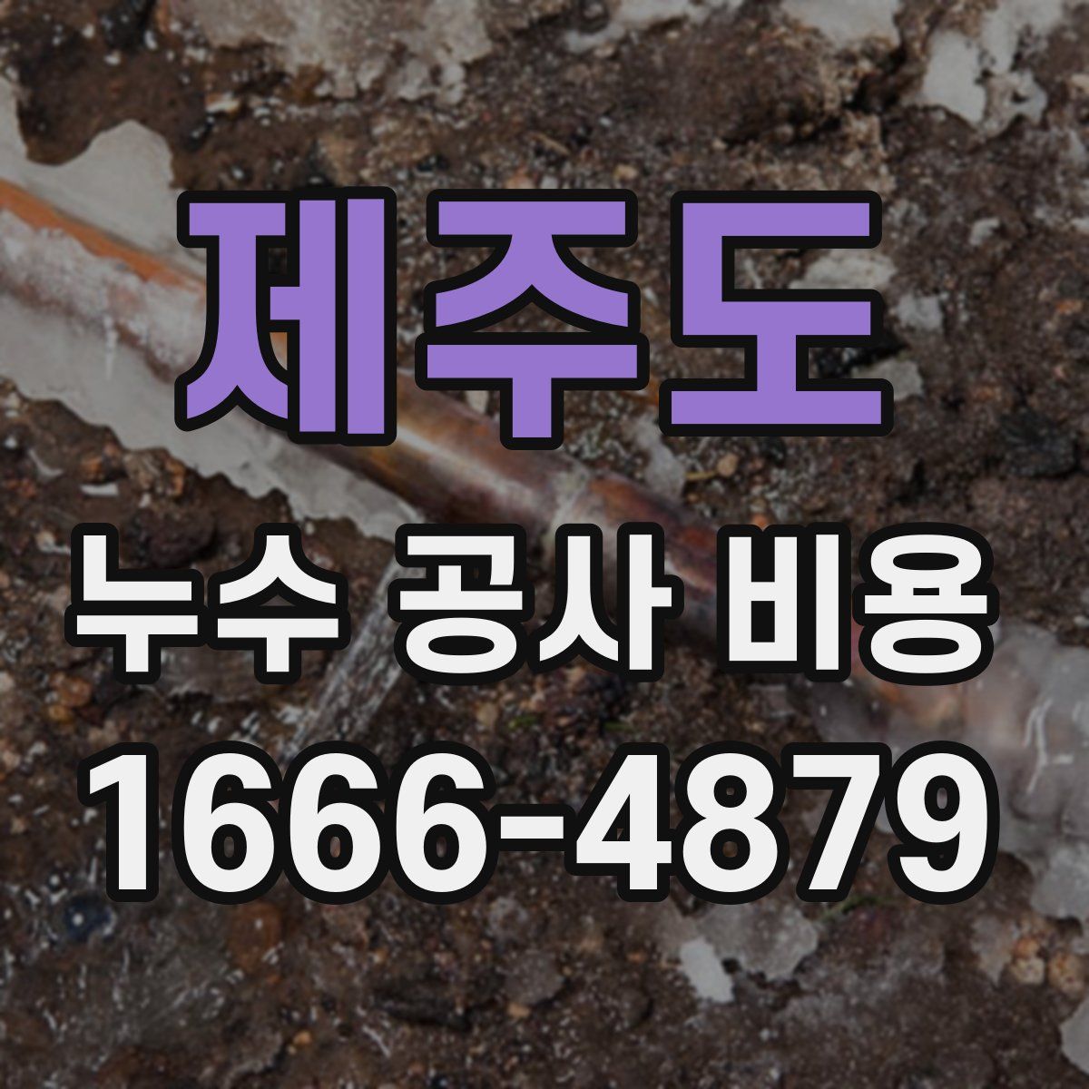 제주도 누수 공사 비용
