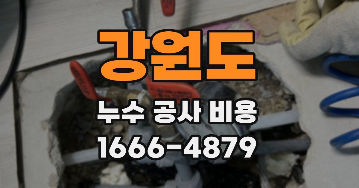 강원도 누수 공사 비용