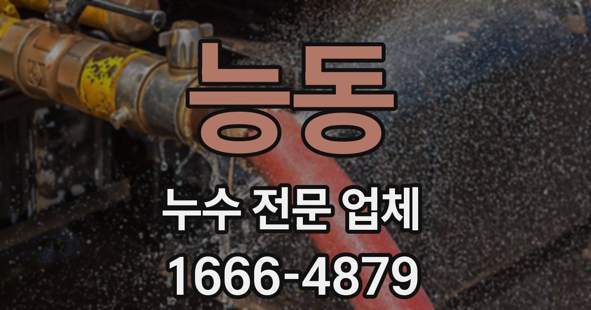 능동 누수 전문 업체