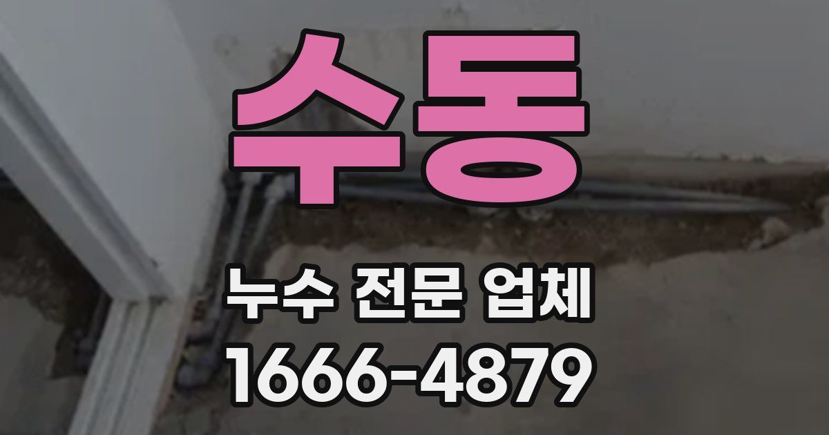 수동 누수 전문 업체