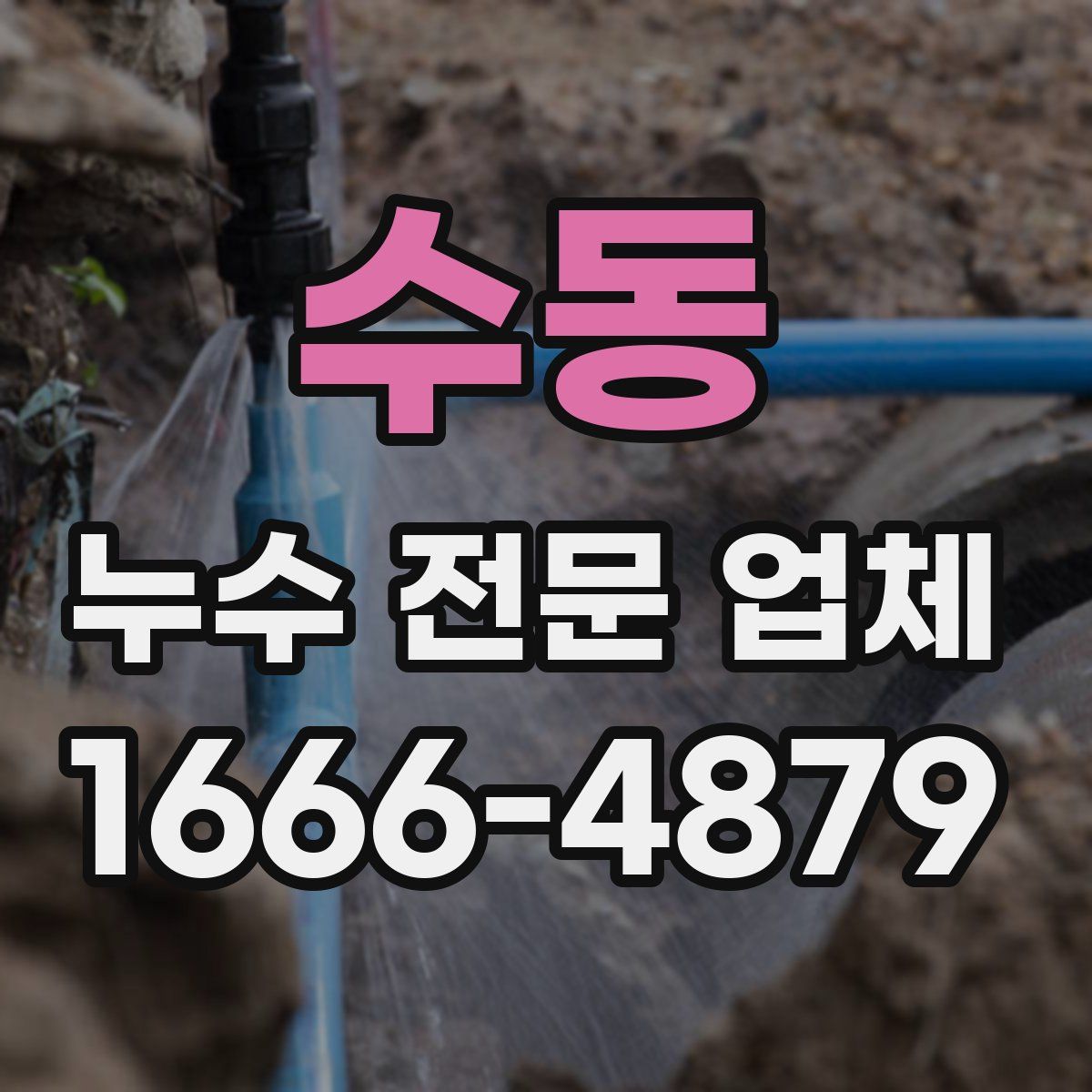 수동 누수 전문 업체