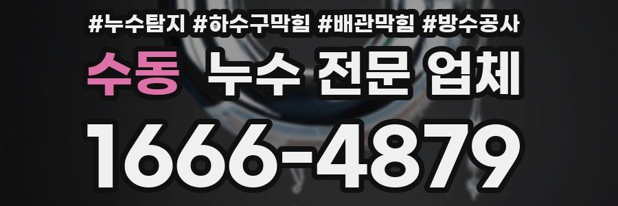 수동 누수 전문 업체