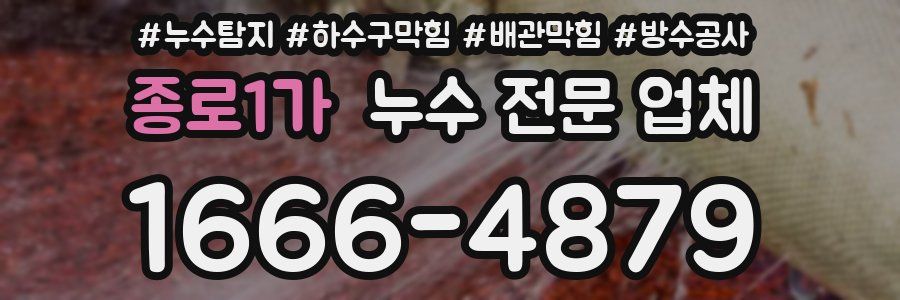 종로1가 누수 전문 업체