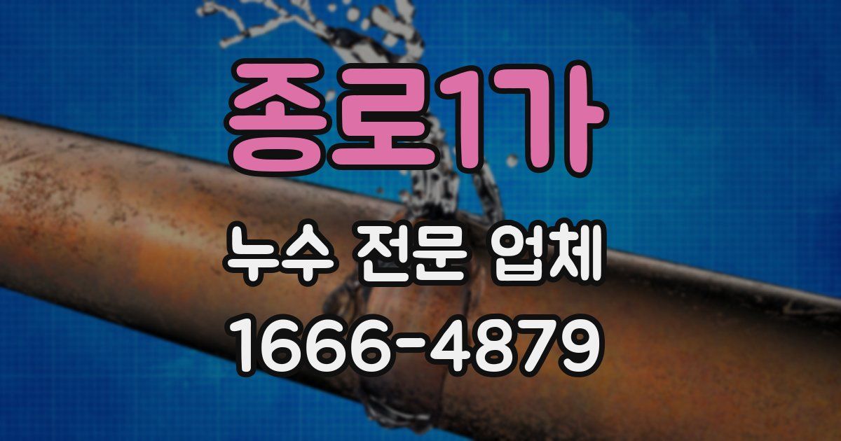 종로1가 누수 전문 업체