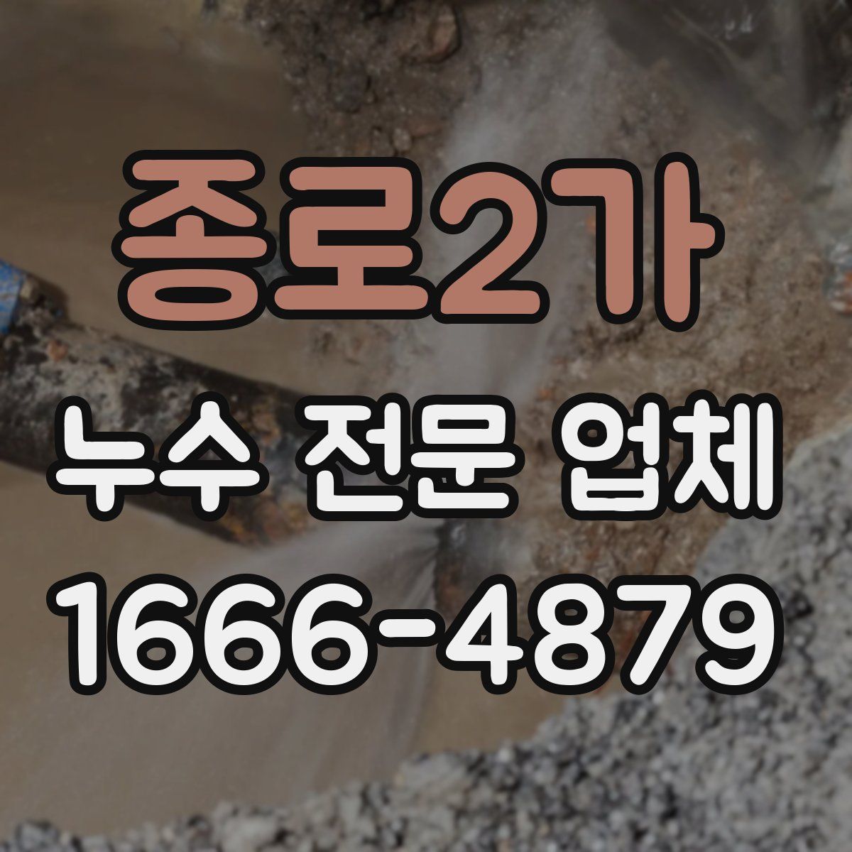 종로2가 누수 전문 업체
