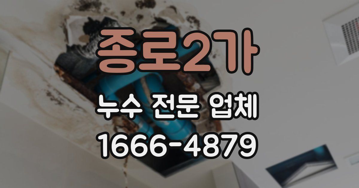 종로2가 누수 전문 업체