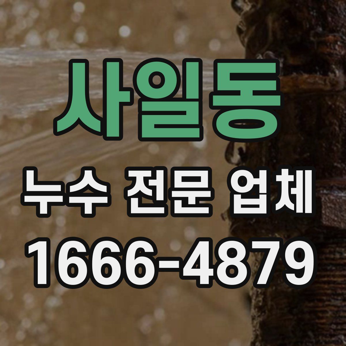 사일동 누수 전문 업체