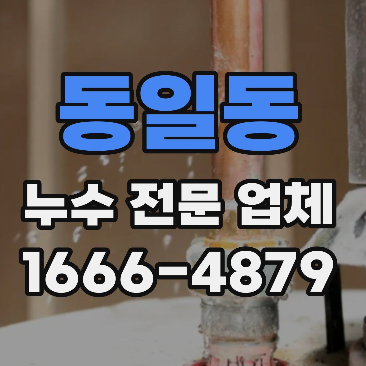 동일동 누수 전문 업체