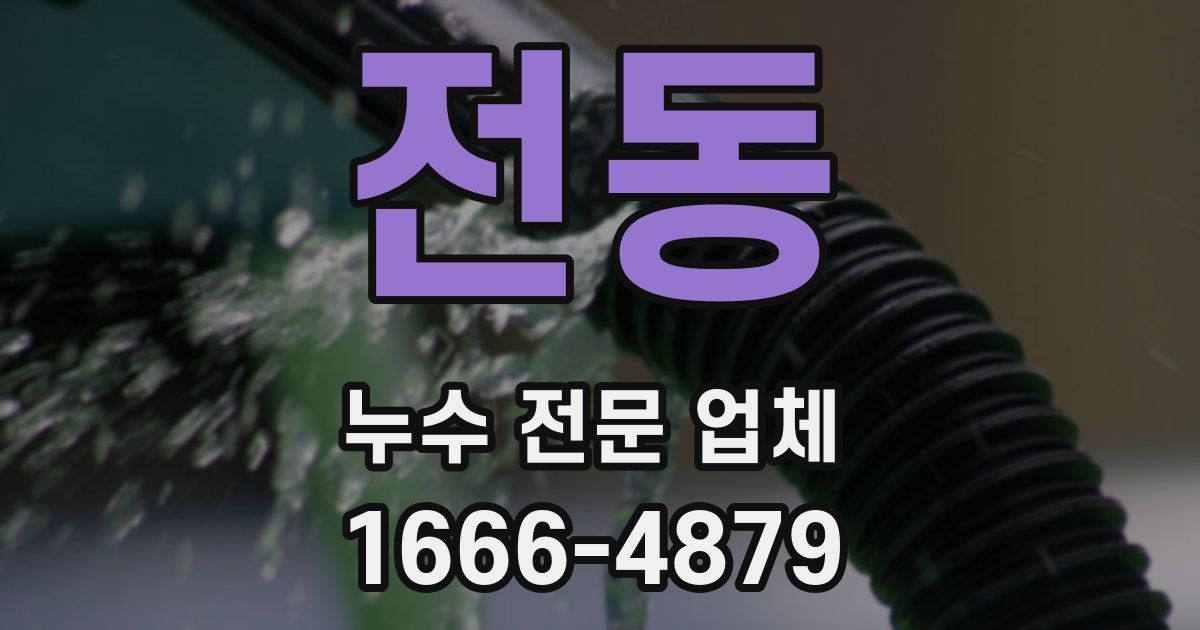 전동 누수 전문 업체