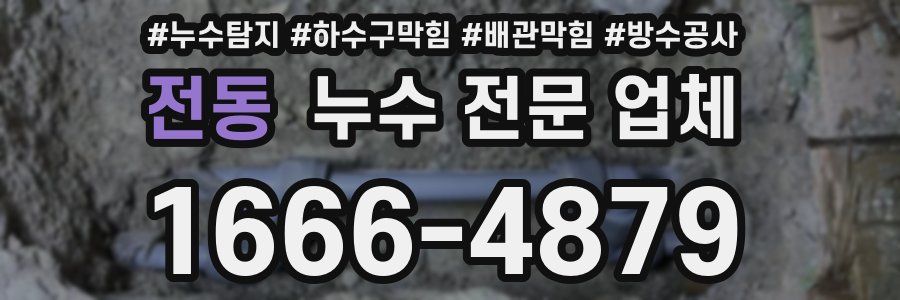 전동 누수 전문 업체