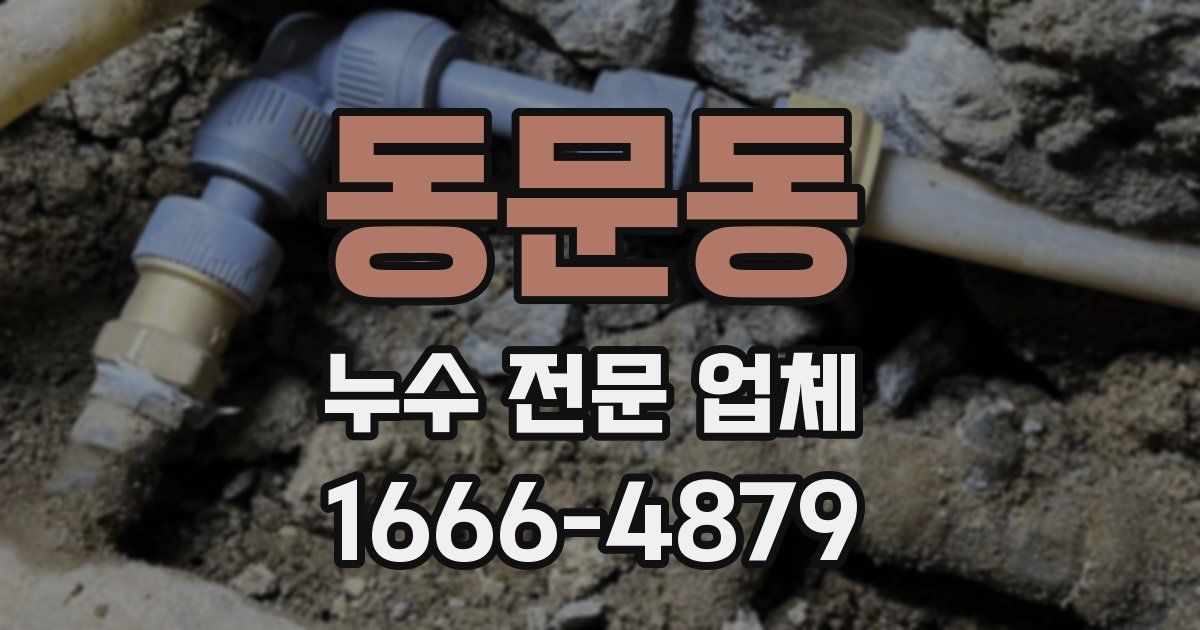 동문동 누수 전문 업체