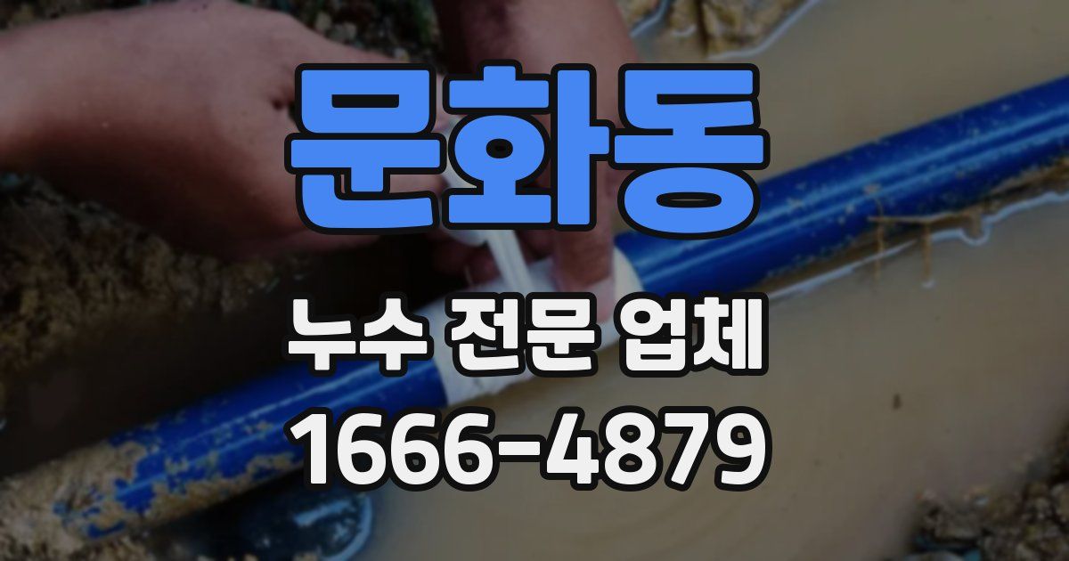문화동 누수 전문 업체