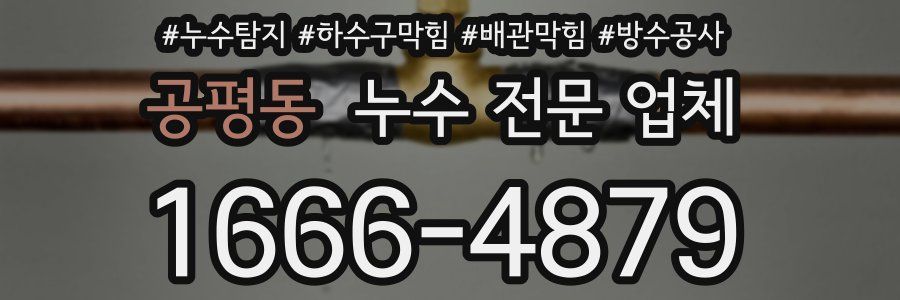 공평동 누수 전문 업체