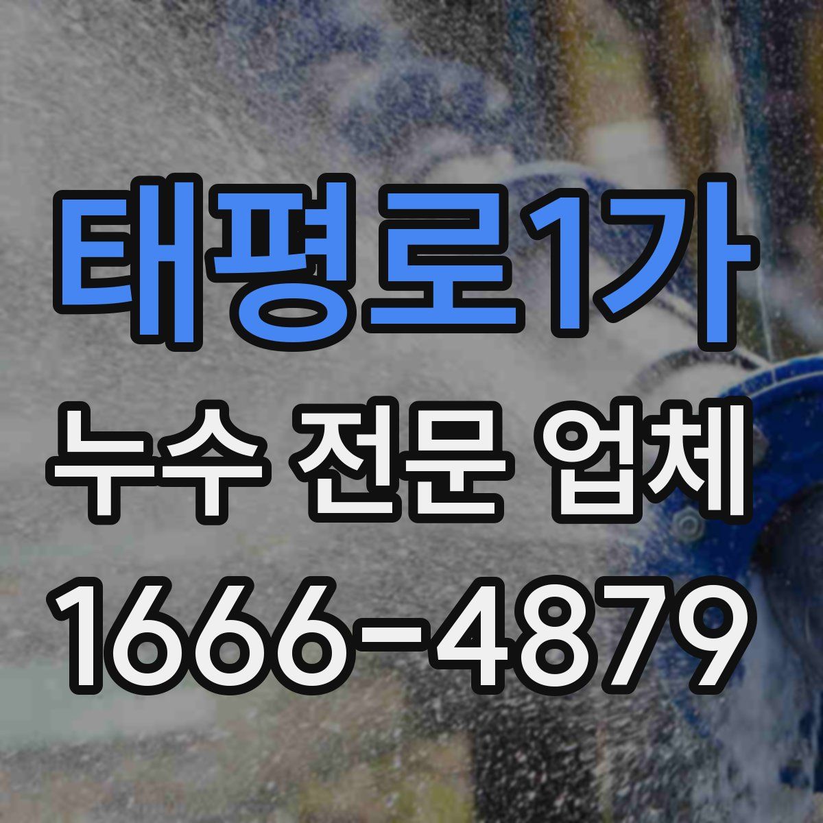 태평로1가 누수 전문 업체