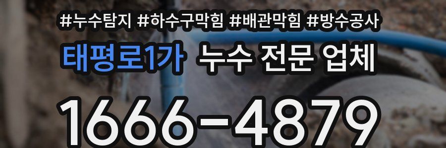 태평로1가 누수 전문 업체