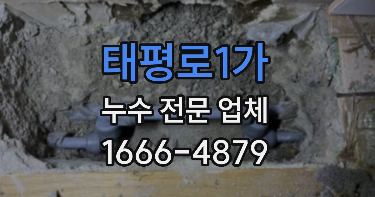 태평로1가 누수 전문 업체