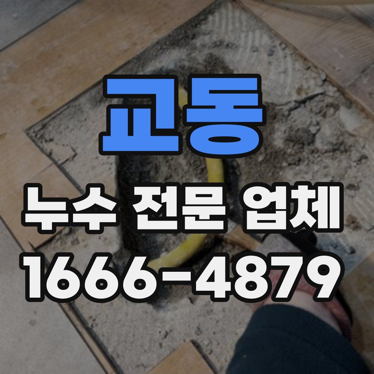 교동 누수 전문 업체