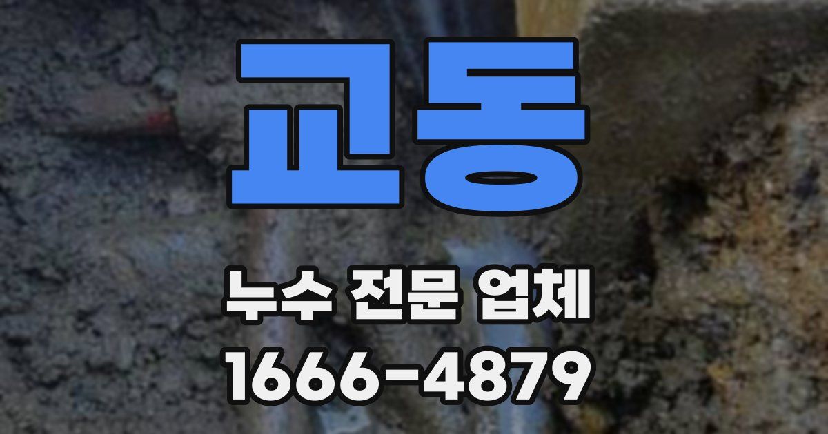 교동 누수 전문 업체