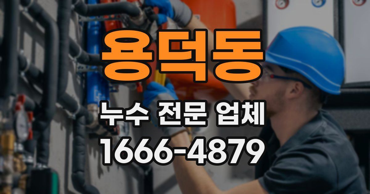 용덕동 누수 전문 업체