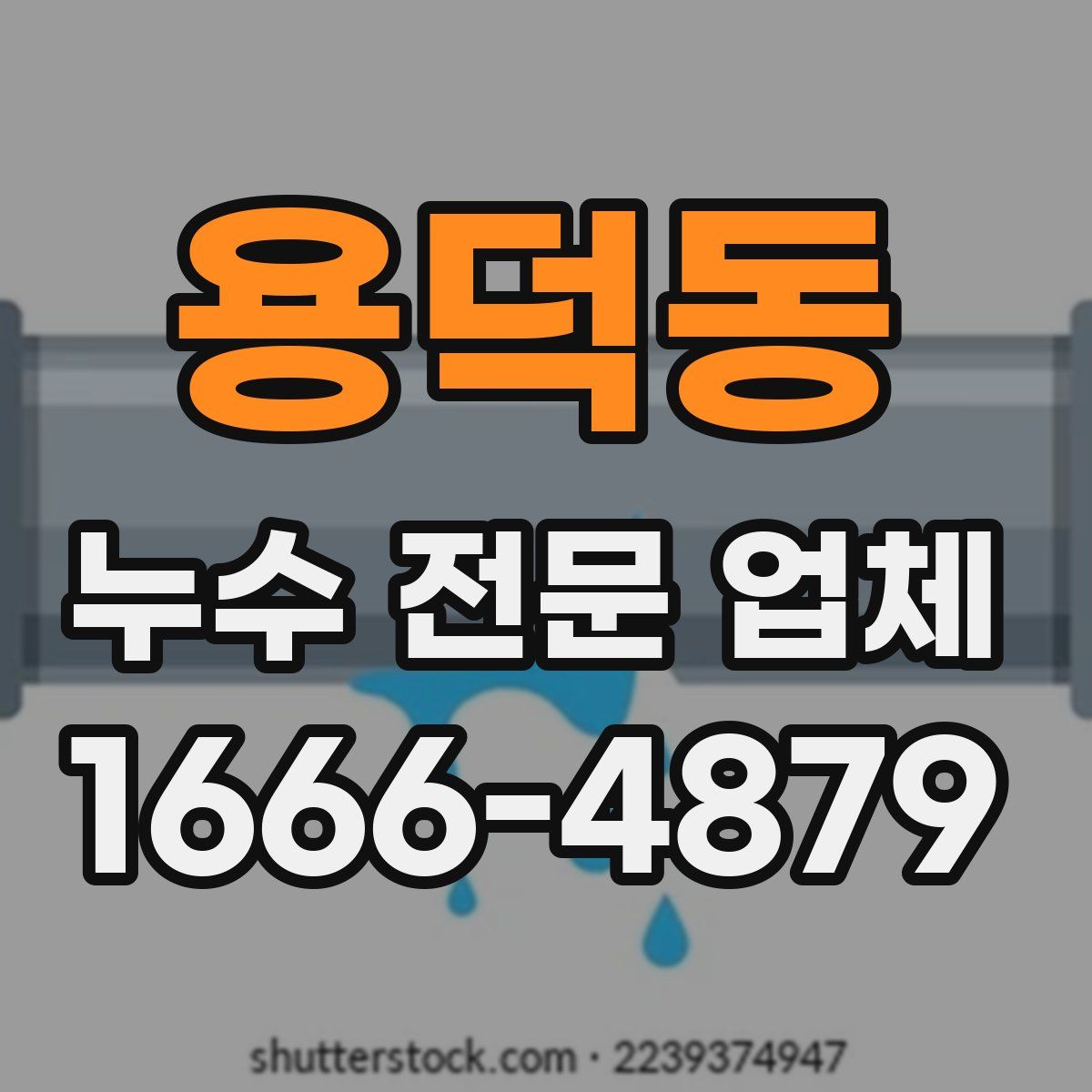 용덕동 누수 전문 업체