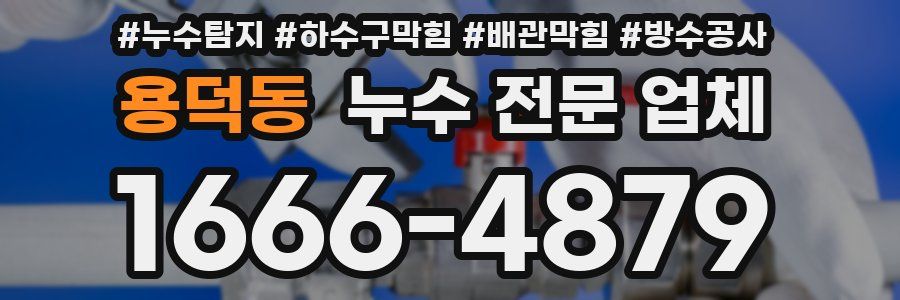 용덕동 누수 전문 업체