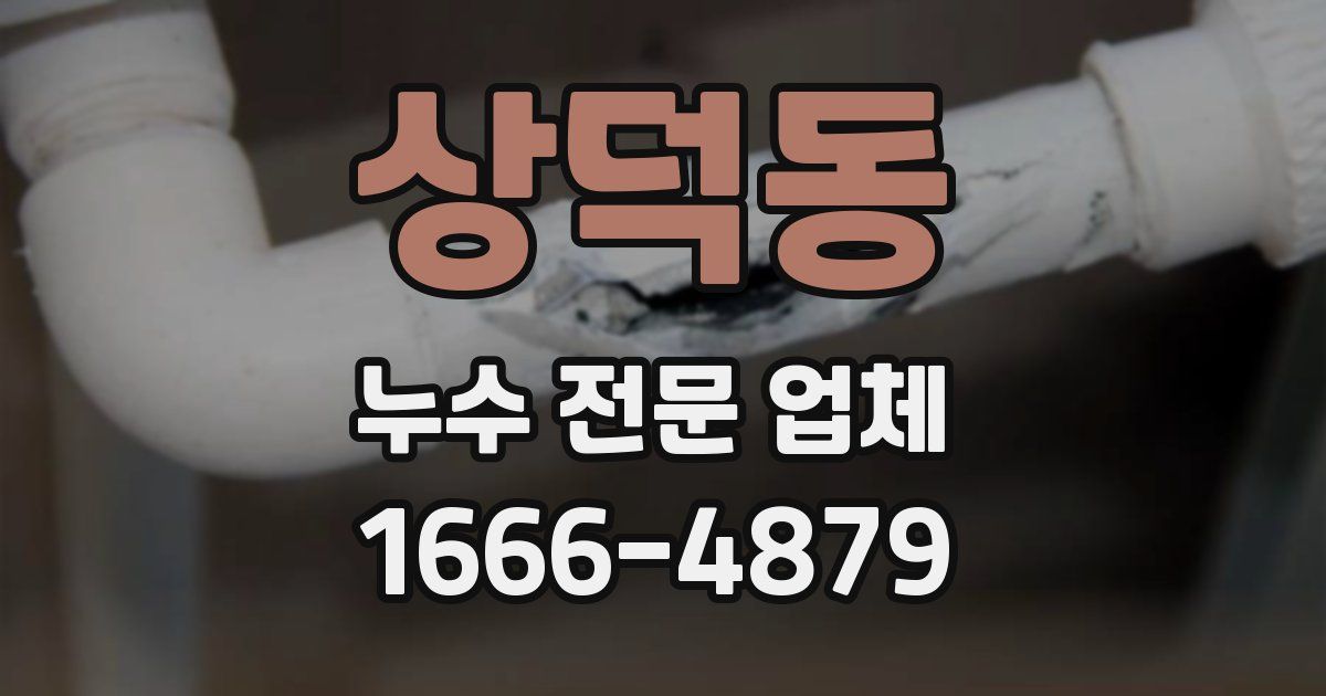상덕동 누수 전문 업체