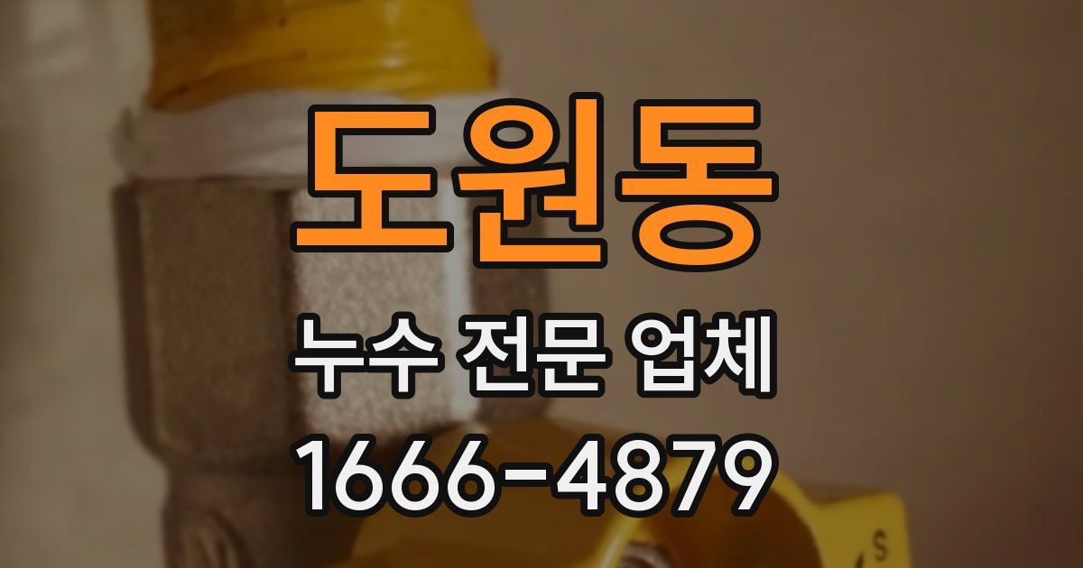 도원동 누수 전문 업체