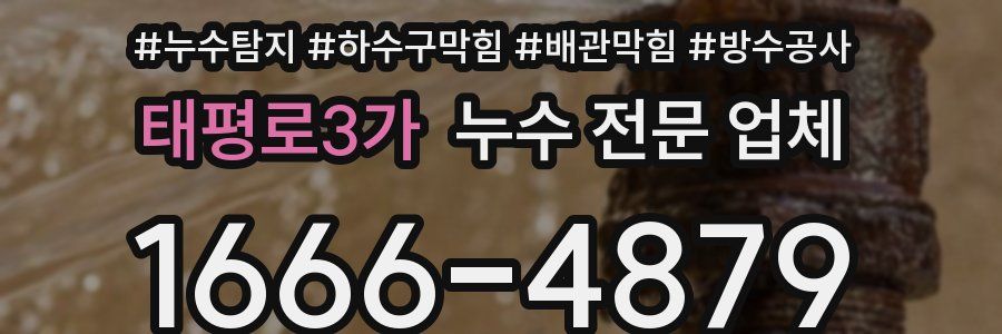 태평로3가 누수 전문 업체