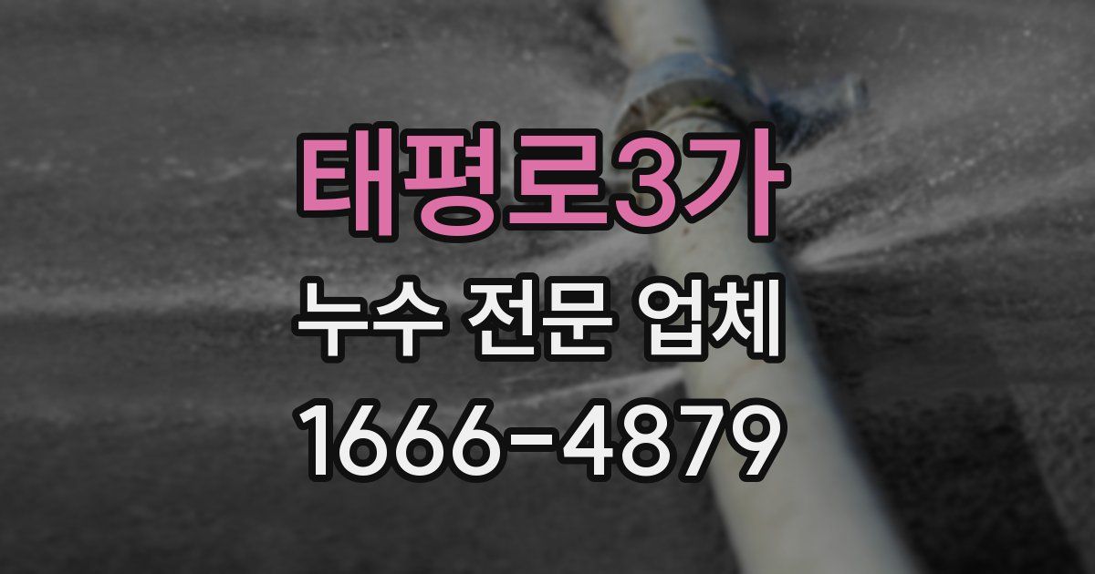 태평로3가 누수 전문 업체