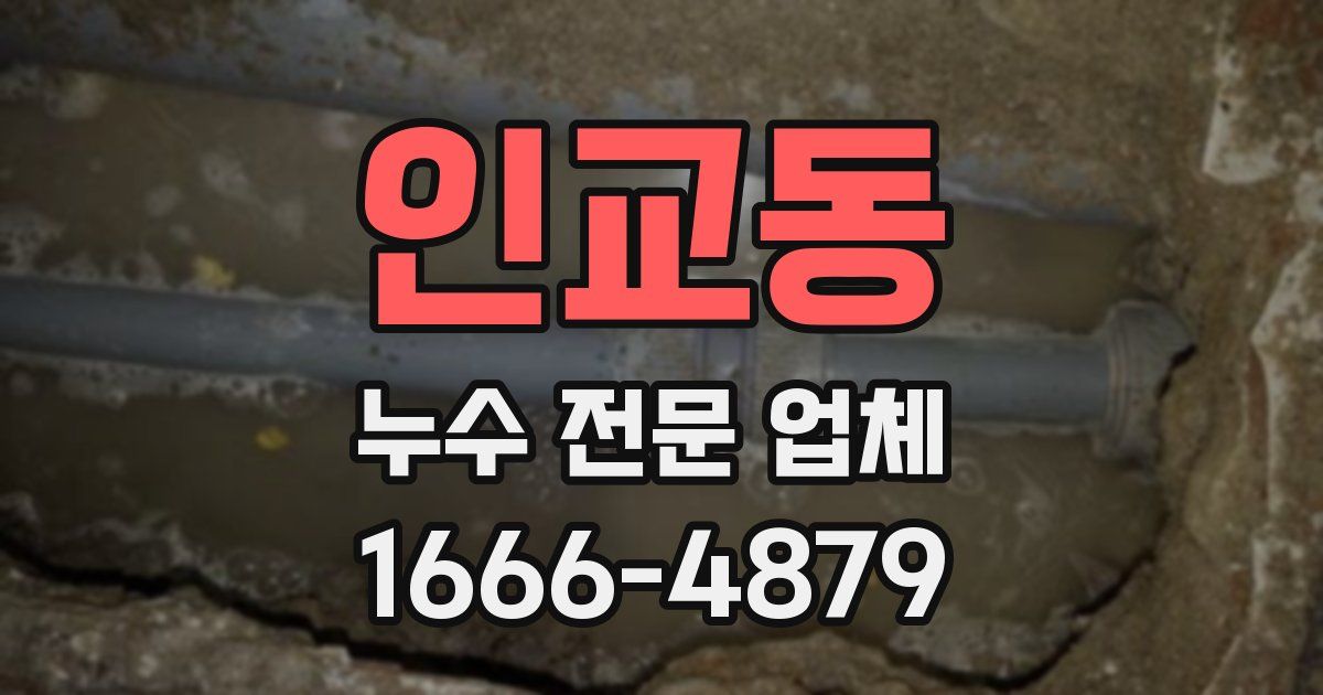 인교동 누수 전문 업체