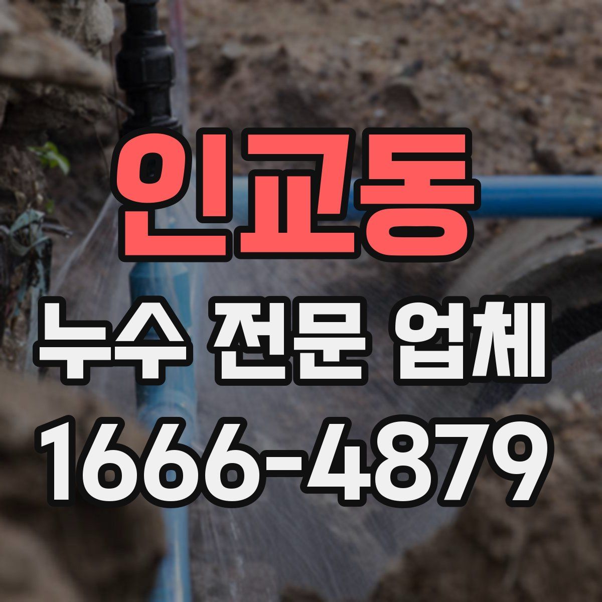 인교동 누수 전문 업체