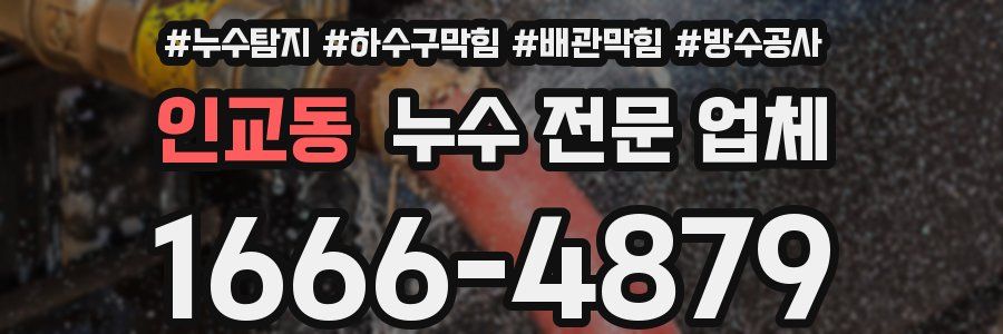 인교동 누수 전문 업체
