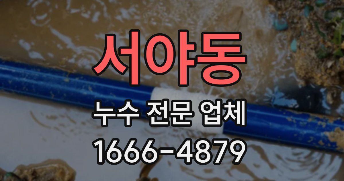 서야동 누수 전문 업체