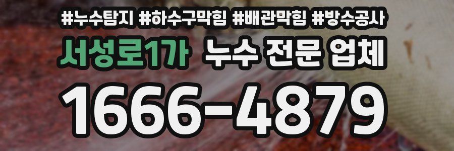 서성로1가 누수 전문 업체