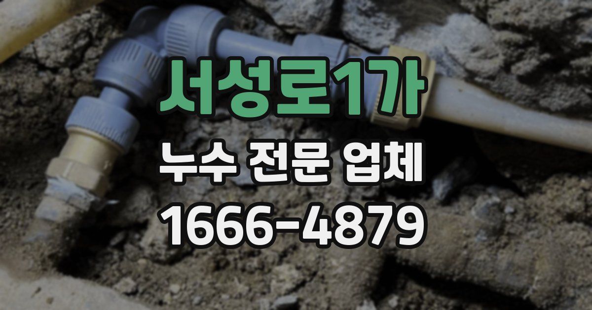 서성로1가 누수 전문 업체
