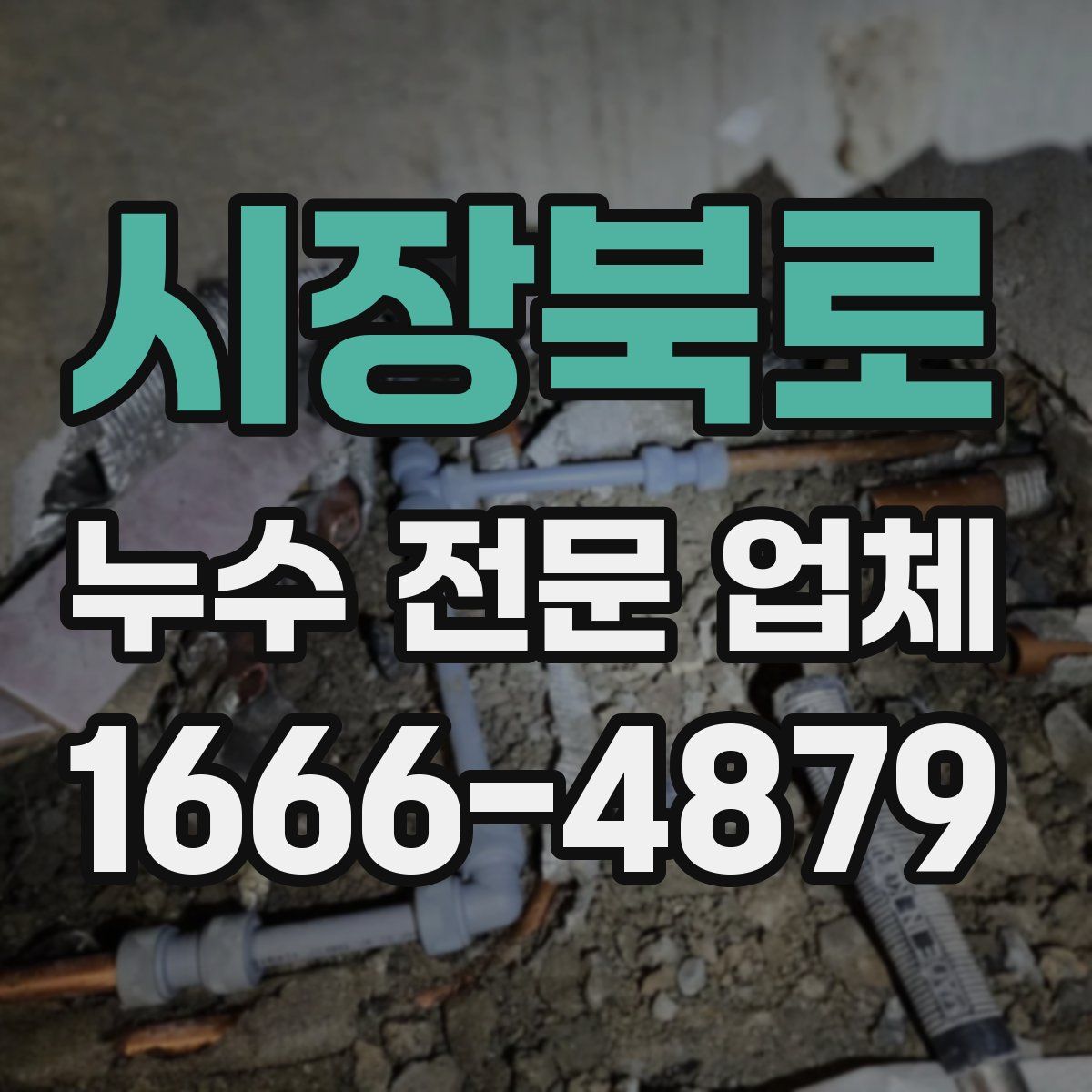 시장북로 누수 전문 업체