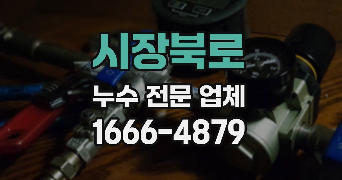 시장북로 누수 전문 업체