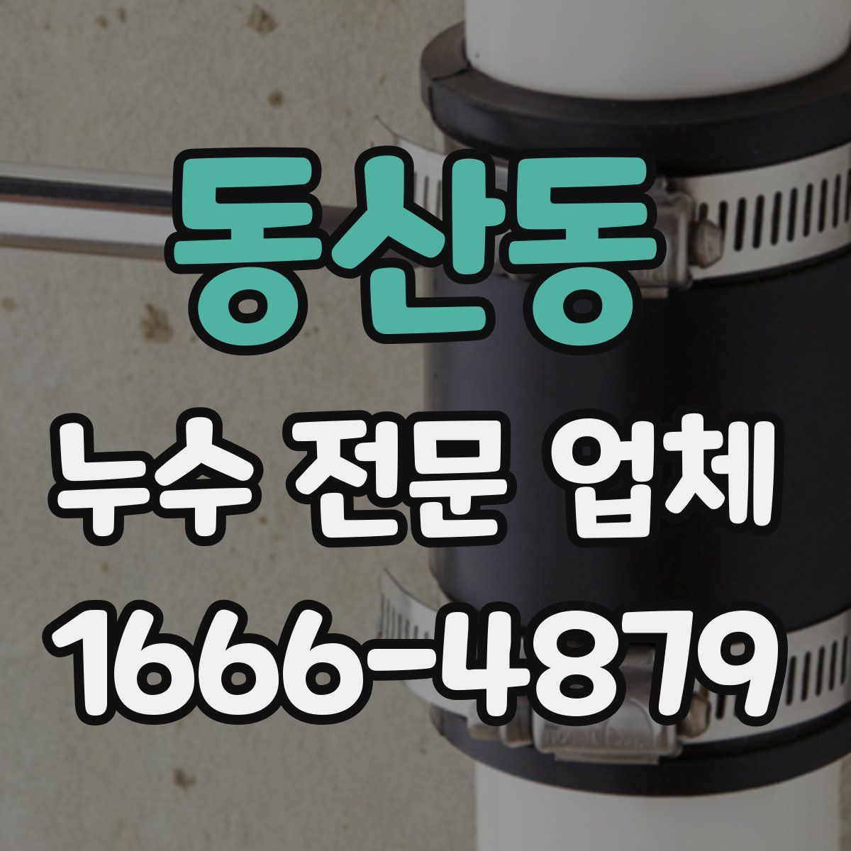 동산동 누수 전문 업체
