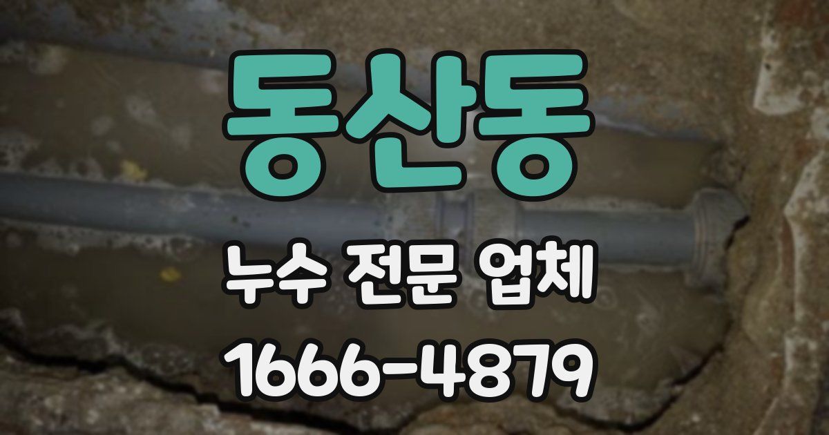 동산동 누수 전문 업체
