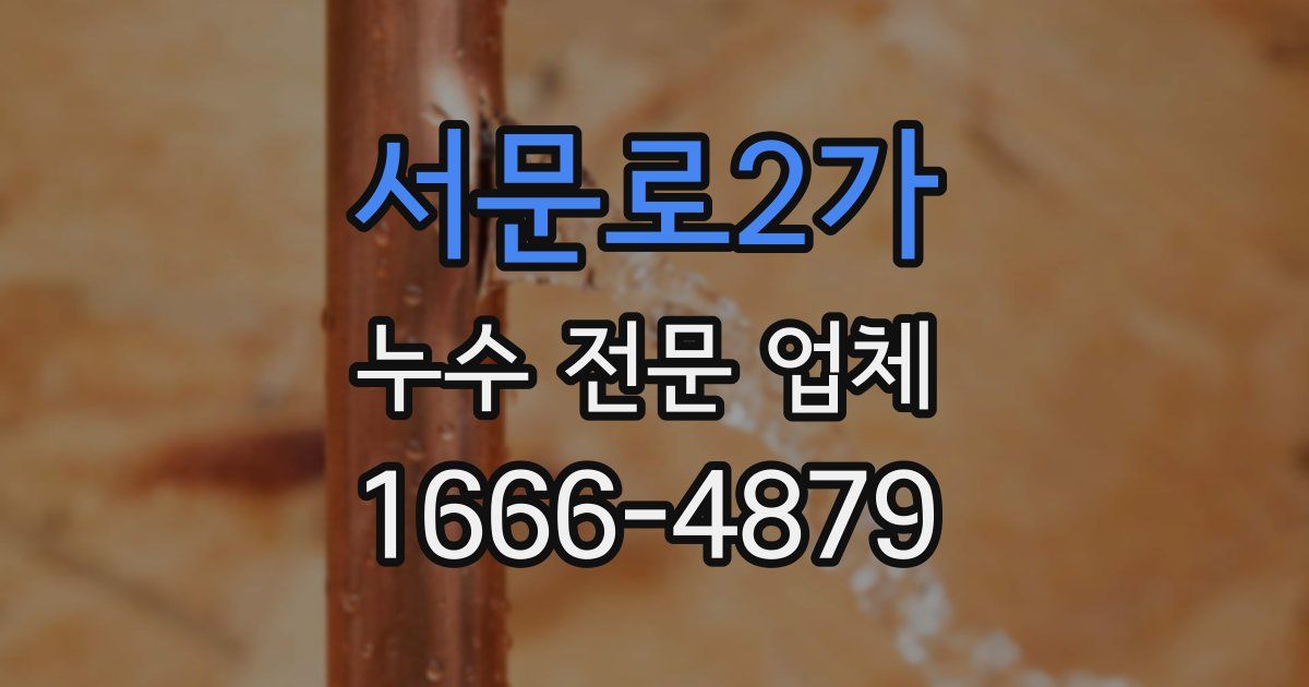서문로2가 누수 전문 업체